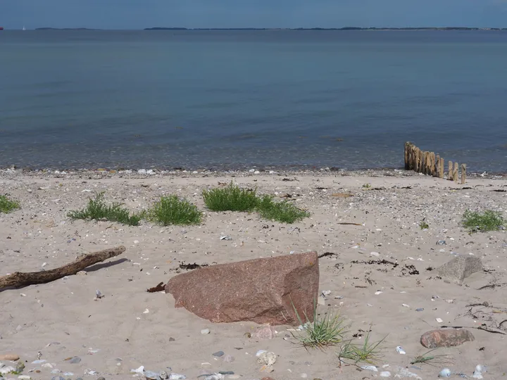 Halshuisene + Enebaerodde Beach (Denemarken)